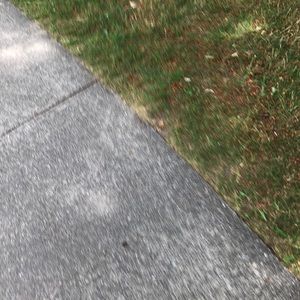 Meet your Posher, Tati